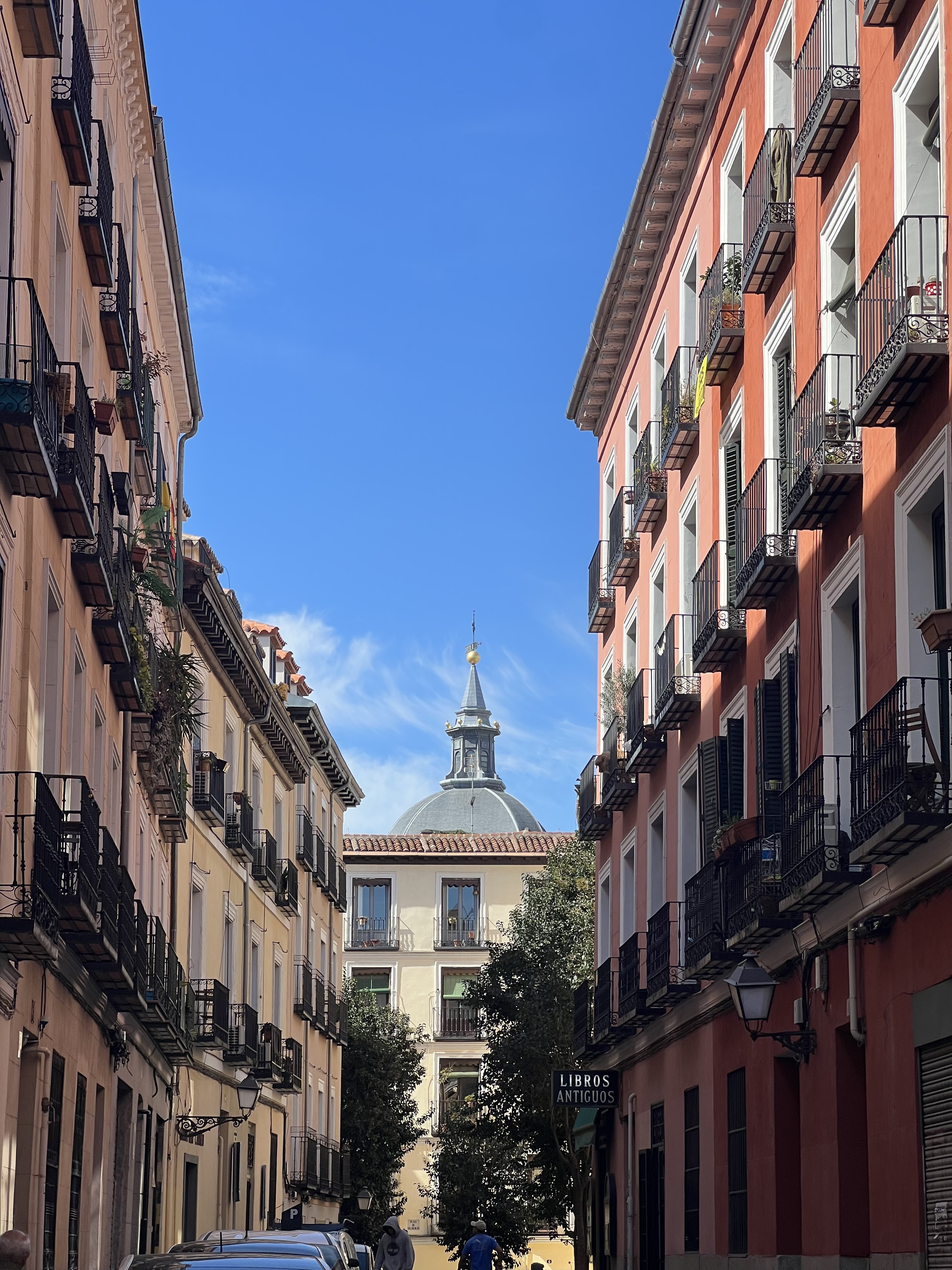 Madrid [Spain]